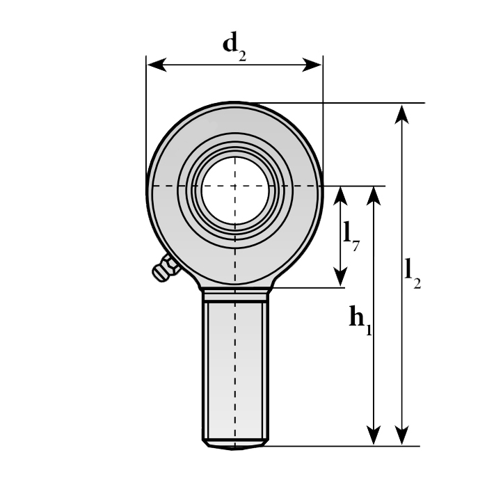 Шарнирный наконечник SAL17 ES 2RS ISKRA