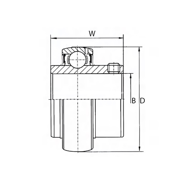 Нержавеющий подшипник (магнитный) UC205 BSS 2RS ISKRA