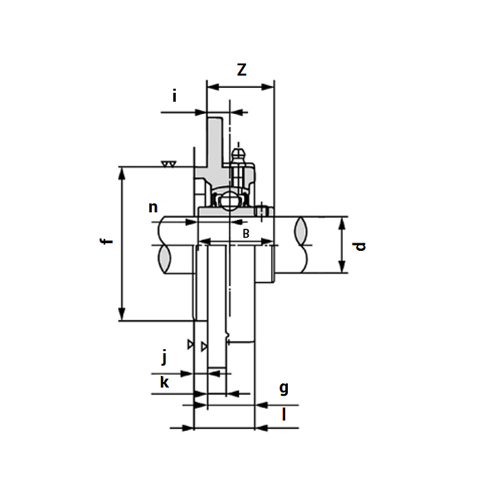 Подшипниковый узел UCFC 214 ISKRA