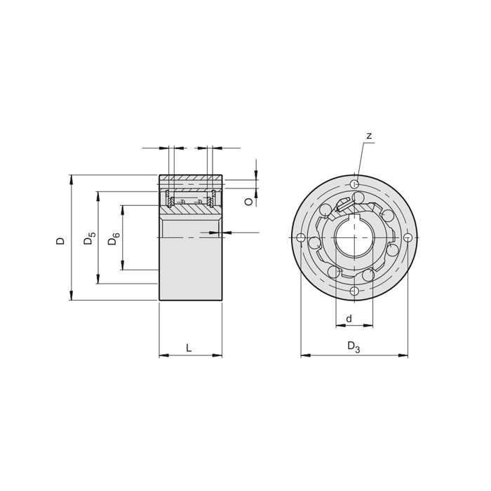 Обгонная муфта AE30 ISKRA