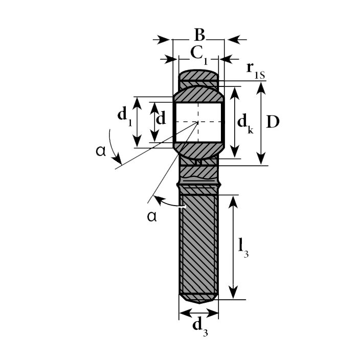 Шарнирный наконечник TSM5C ISKRA